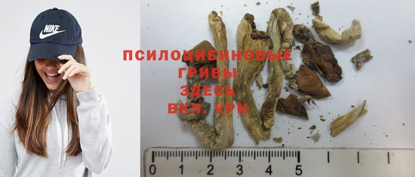 ECSTASY Бронницы